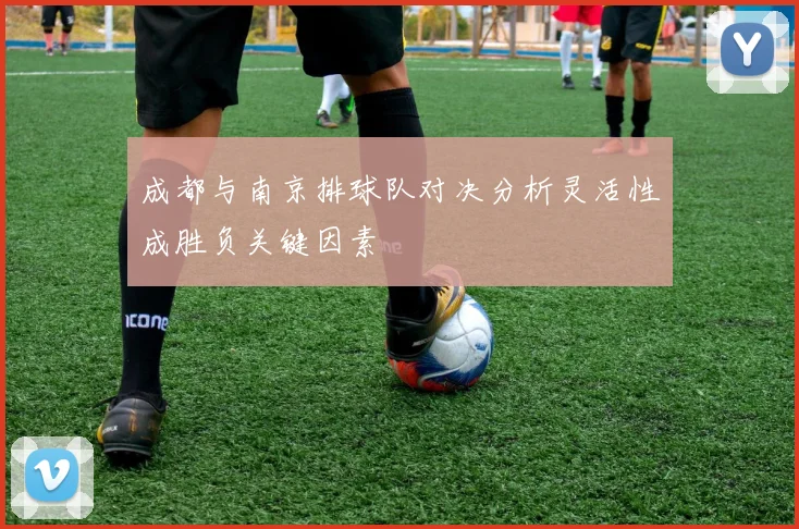 成都与南京排球队对决分析灵活性成胜负关键因素